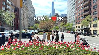 [4K] NYC Walk : Elegant Upper East Side &amp; Central Park on a Sunny Spring Day | Apr. 2026🌹🌸