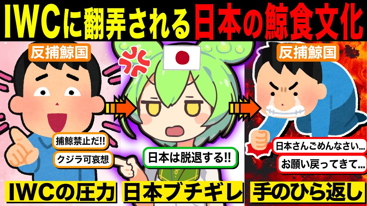 【IWC破綻】環境活動家（笑）と反捕鯨諸国に翻弄される日本の鯨食文化。シビレを切らしIWC脱退すると手のひら返しで涙目&懇願…。【ずんだもん解説】