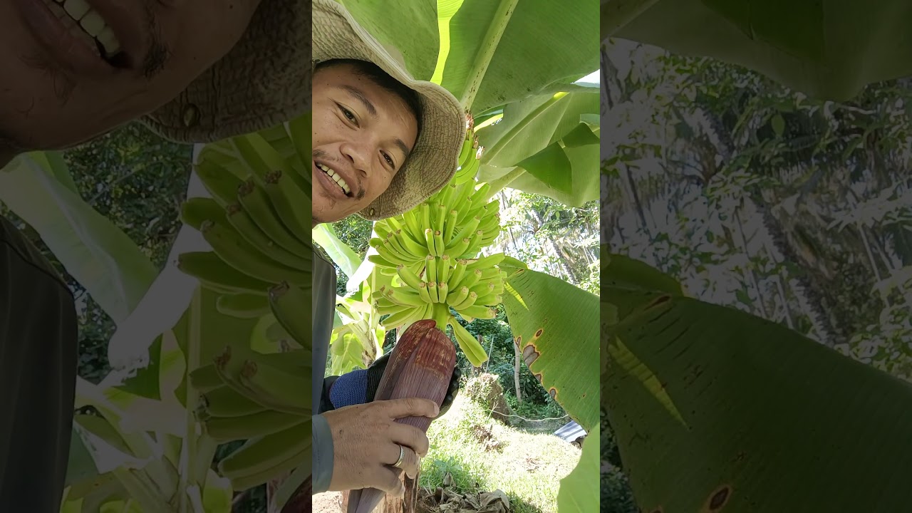 False hand, ano ito? 