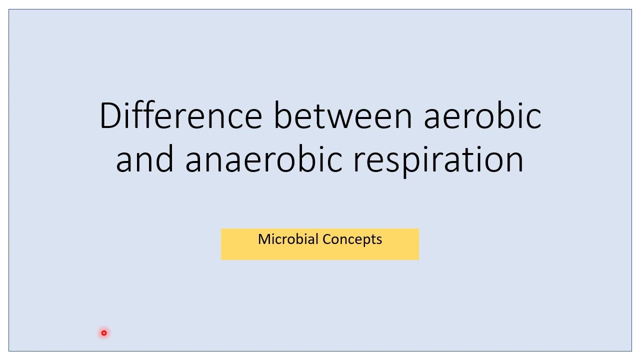 Difference between Aerobic and Anaerobic respiration | types of respiration | Microbiology basics
