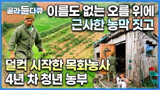 4년째 수입 무일푼이지만.. 목화도 내 인생도 “언젠간 피겠지요”│패션모델 청년이 30대 젊은 나이 귀농해 목화농사 하는 이유‍│제주 애월 목화오름│한국기행│#골라듄다큐