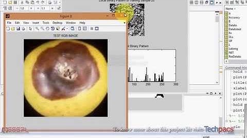 LBP approach for classification of diseased fruit with LAB color spacing approach (latest Project )