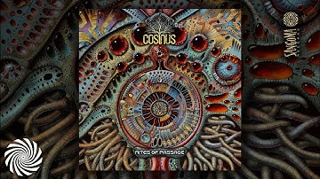 Cosinus - Spice Oddity