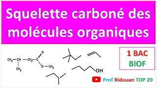 squelette carboné des molécules organiques (partie 1)