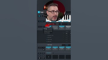 Scaler 2 Secrets #2 - Force into Scale