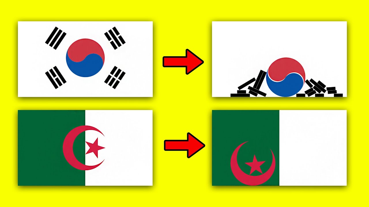 Alternative Evolution of Flags | Flag Animation
