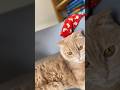 Повтори это со своим любимым ❤️