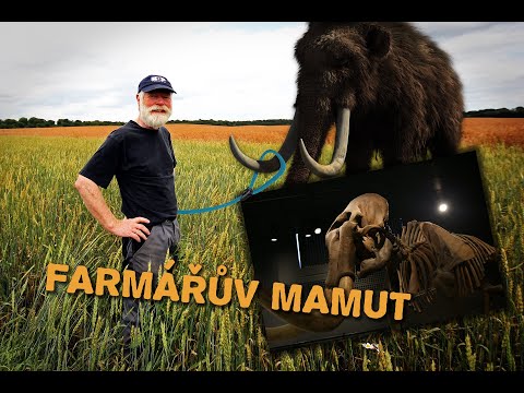 Video: Vědci Z USA Vzkřísí Mamuty, Aby Zachránili Arktidu &Zwj; - Alternativní Pohled