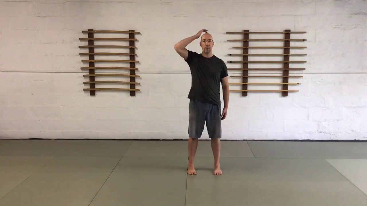 Foundation Standing Posture (for Tai Chi and Qigong) YouTube