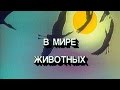 В мире животных. г. Ялта. Крокодилова ферма.часть 1