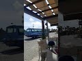 Spot TUI travel agency bus 🚌 on sal #capeverde #sal #santamaria #verde #africa #island