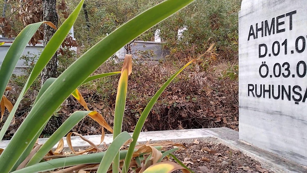 Armutalan köyü- Köy Mezarlığı babamın Kabri başında  ( Ruhuna Fatiha ) Eylül 2020 Zile /TOKAT