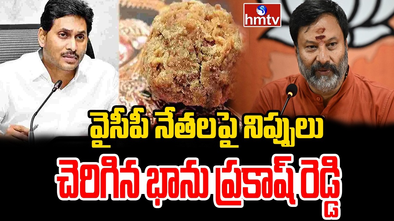 వైసీపీ నేతలపై నిప్పులు చెరిగిన భాను ప్రకాష్ రెడ్డి | TTD Bhanu Prakash Reddy | hmtv