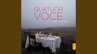 String Quartet No. 8 in E Minor, Op. 59 No. 2: I. Allegro