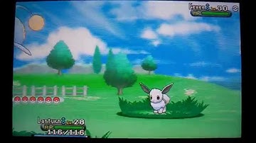 Shiny Eevee in Friend Safari!