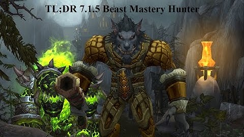 TL;DR Beast Mastery Hunter guide for beginners 7.2 / 7.1.5