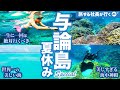 【神回】与論島7泊8日旅行がヤバすぎた!【観光・グルメ・ビーチ】【完全保存版】