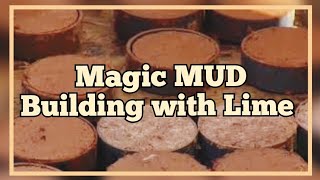 Magic Mud: Experimenting With Lime Stabilized Soil at Tamera | No more Cement | Auroras Eye Films