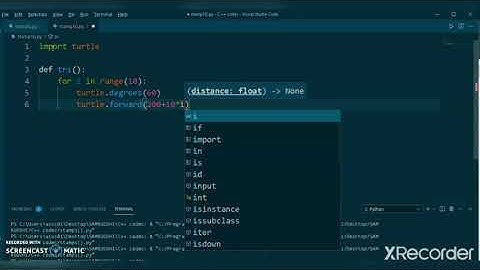 What is turtle. stamp() in python?
