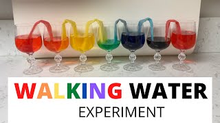 Walking Water Experiment (Rainbow Walking Water)