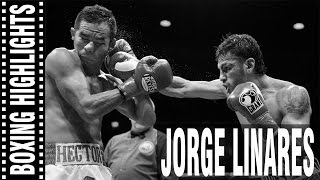 Jorge Linares Highlights