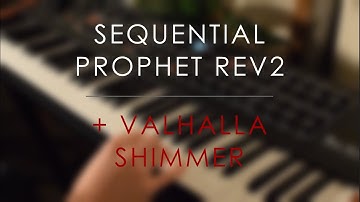 My new favourite patch on the Rev2! // Sequential Prophet Rev2