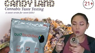 Candyland Strain/Cannabis Tasting/budbuddies