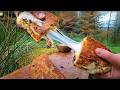 The perfect sandwich asmr compilation  relaxing cooking in nature
