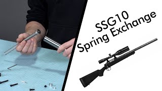 SSG10 Spring Exchange