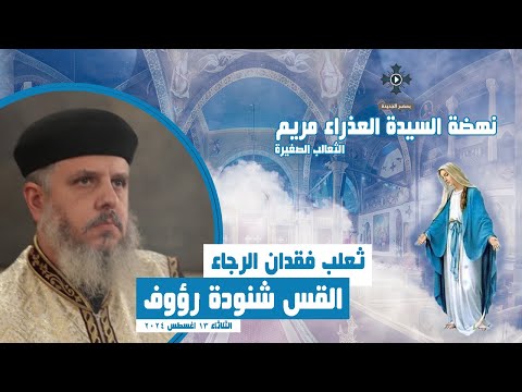 ثعلب فقدان الرجاء القس شنودة رؤوف عظة نهضة السيدة العذراء مريم الثلاثاء 13 اغسطس 2024