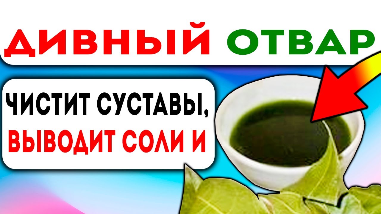 Ещё 7 причин заварить лавр! Суставы, диабет, воспаления, раны ...