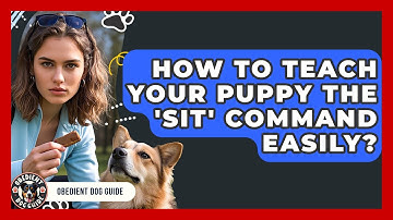 How To Teach Your Puppy The 