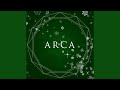 ARCAELECTROCUTICA