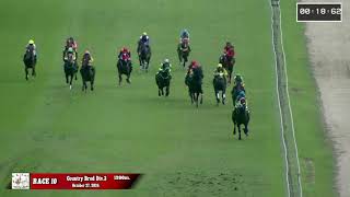 STRONG WILL wins too easily! - 27/10/2024 - Race 10 - Country Bred Division 3 screenshot 4