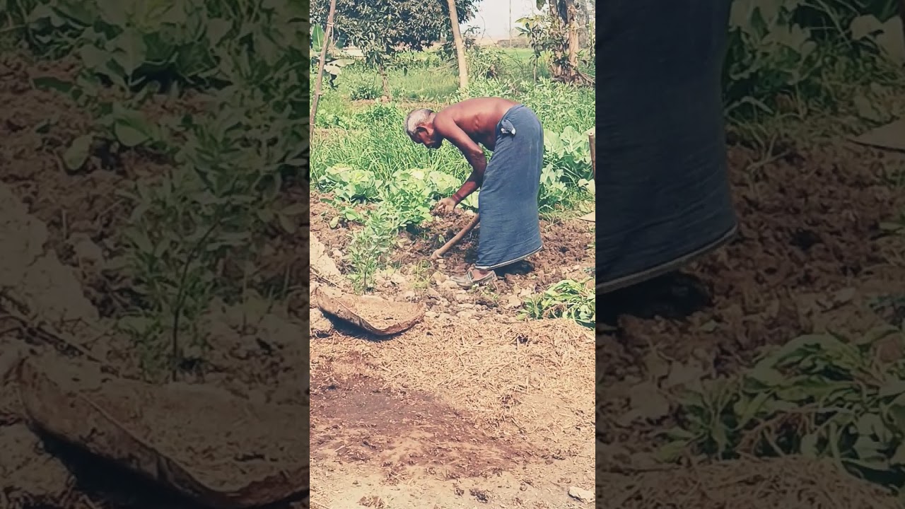 kisan jay javan jay kishan 