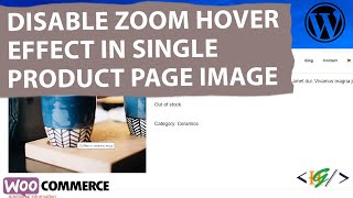 How to Disable Zoom Hover Effect on Single Product Page Image in WooCommerce WordPress