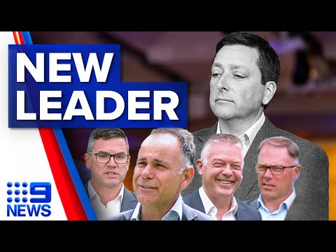 Four liberals to battle it out to become next opposition leader in victoria | 9 news australia