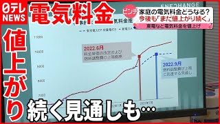 【電気料金】東京電力などが“値上げ”  今後も続く見通しも…