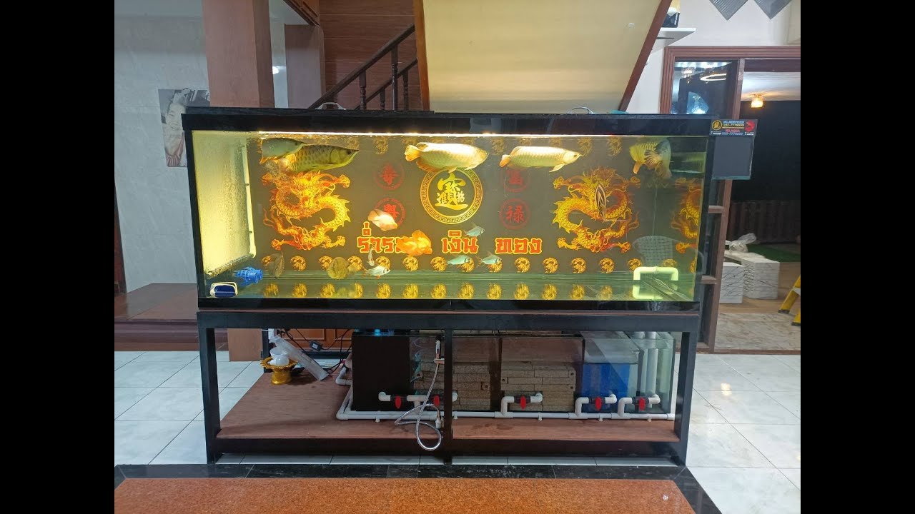 Arm รุ่งฟ้า Sea Food - แก้ไขงานระบบ Overflow เป็น All Services + ล้าง 100 ตู้ปลามังกรเลี้ยงรวม Set 4