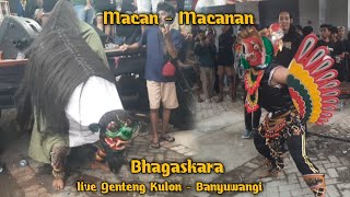 Macan-macanan | Bhagaskara live Genteng kulon - Banyuwangi