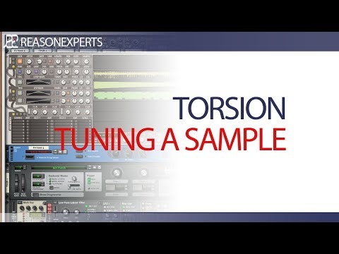 Torsion Rack Extension | Tuning a sample | Reasonexperts