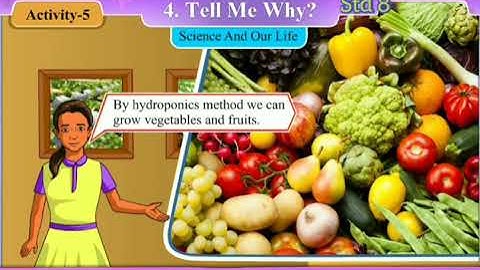 Std 8 English Unit 4 Activity 5 Sem 2