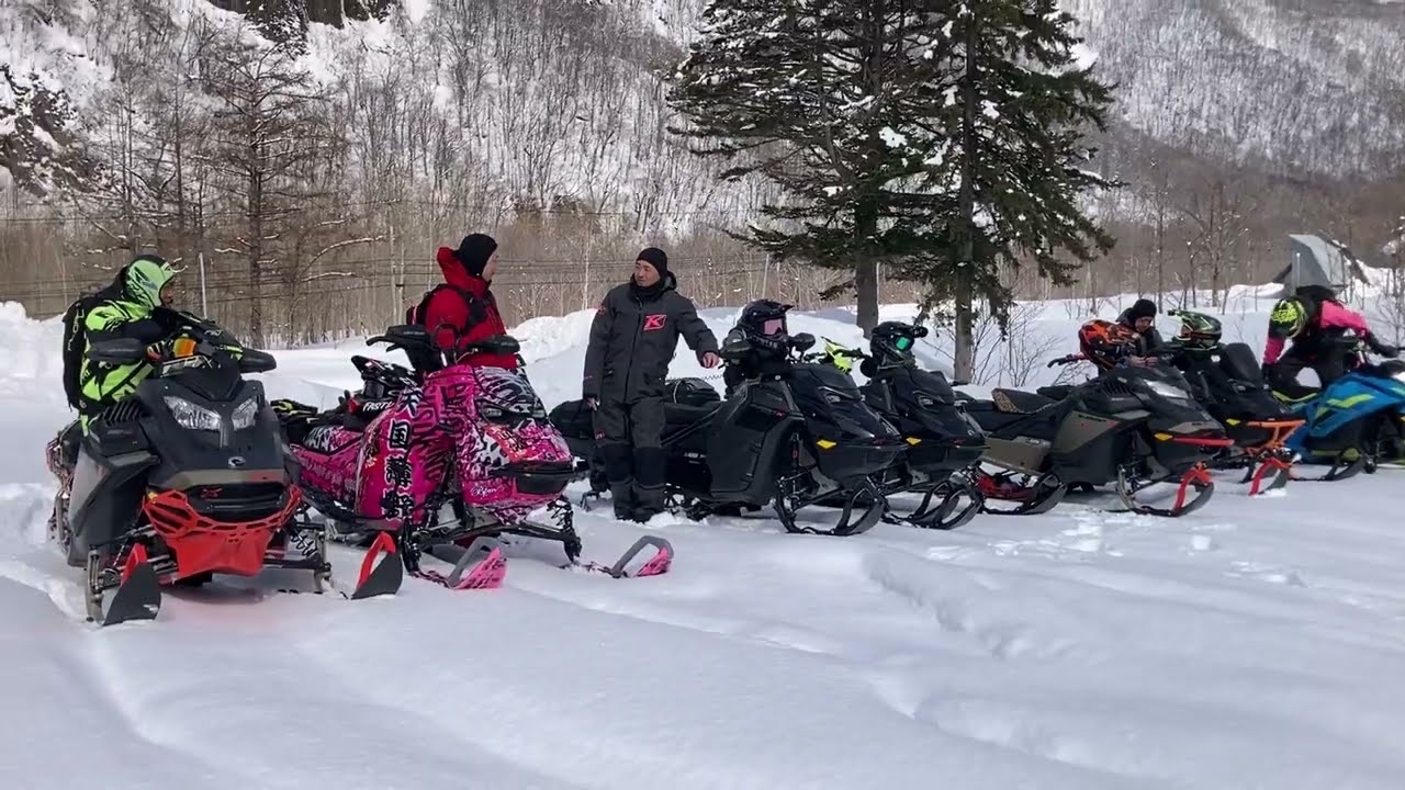 Мне понравился весенний порох (19 марта 2025 г.)