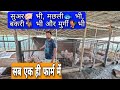 Pig farm, fish farm, goat farm & chicken farm all in one | कमाई लाखों मैं |