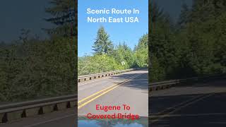 Nature Therapy 🍃 | Beautiful Green World & Scenic Views-EP#121 #shorts #traveltips #adventure