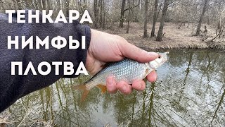 ТЕНКАРА x ПЛОТВА НА НИМФЫ ВЕСНОЙ #117