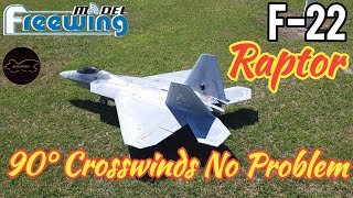 Freewing F-22 in Some High 90° Crosswinds #rcplane #aviation #flying #crosswinds #freewing