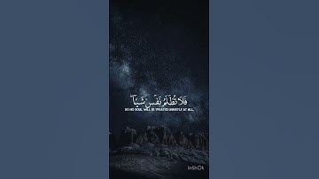 قرأن كريم#سكينه #طمأنينه #للقارئ إدريس أبكر🥹🤲