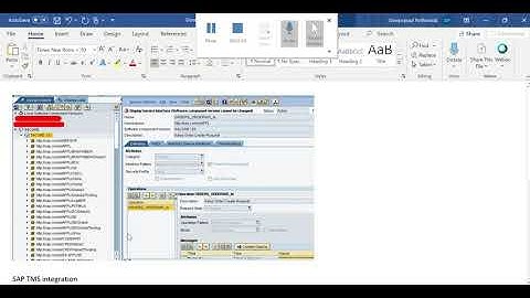 How to Find Standard Service Interface Objects for SAP PI SAP TMS and others integration