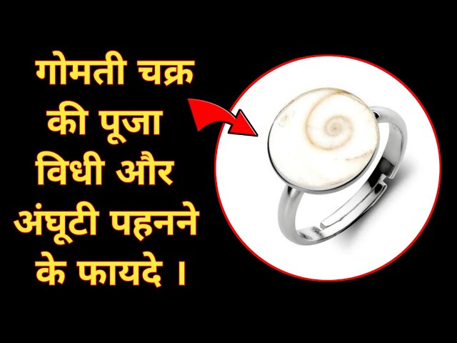 Raja Gomati Chakra Benefits and Uses in Tamil | Gomati Chakra | Chennai